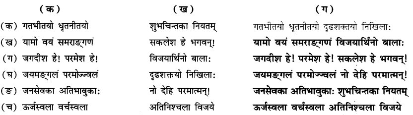 Class 6 Sanskrit Chapter 5 Question Answer Solutions शूराः वयं धीराः वयम् 3