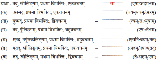 Class 6 Sanskrit Chapter 5 Question Answer Solutions शूराः वयं धीराः वयम् 8