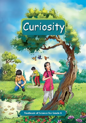 NCERT Solutions for Class 6 Science Curiosity
