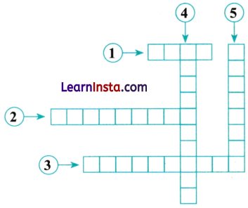 Data Handling and Presentation Class 6 MCQ Maths Chapter 4 Q11