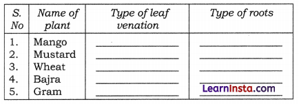 Diversity in the Living World Class 6 MCQ Science Chapter 2 1