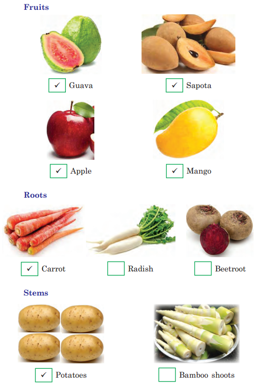 Food We Eat Class 3 EVS Question Answer