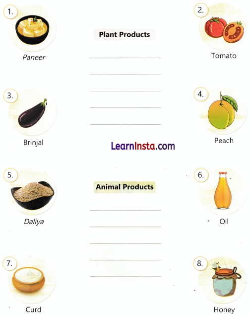 Food We Eat Class 3 Worksheet EVS Chapter 8 2