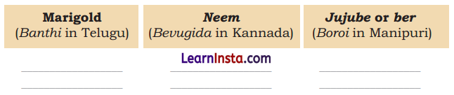 Getting to Know Plants Class 3 EVS Question Answer 2