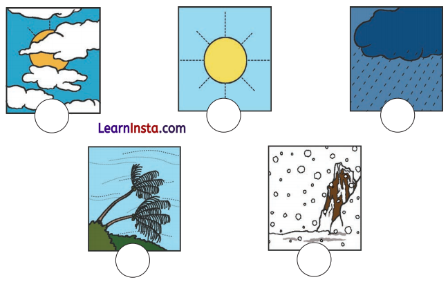 Getting to Know Plants Class 3 EVS Question Answer 4