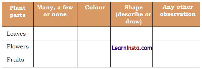 Getting to Know Plants Class 3 EVS Question Answer 5