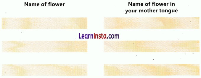 Getting to Know Plants Class 3 Worksheet EVS Chapter 4 15