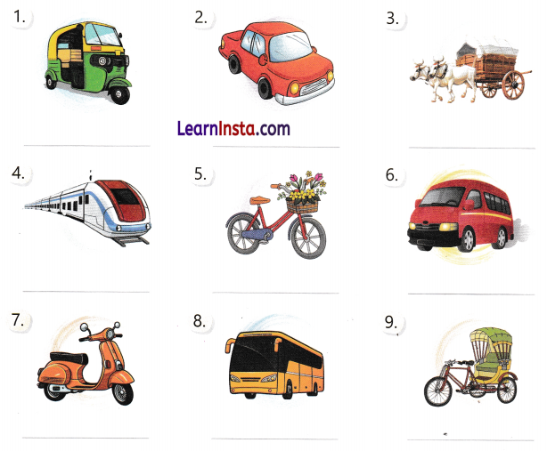 Going to the Mela Class 3 Worksheet EVS Chapter 2 1