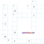 Going to the Mela Class 3 Worksheet EVS Chapter 2 12