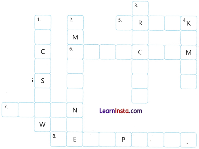 Going to the Mela Class 3 Worksheet EVS Chapter 2 12