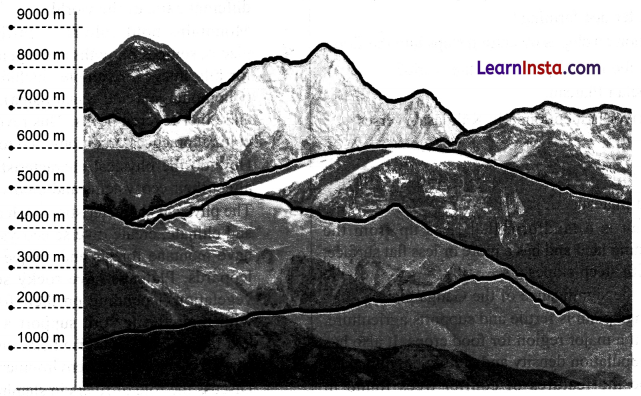 Landforms and Life Class 6 Extra Questions and Answers 1