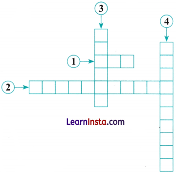 Lines and Angles Class 6 MCQ Maths Chapter 2 Q10