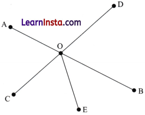 Lines and Angles Class 6 MCQ Maths Chapter 2 Q22