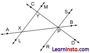 Lines and Angles Class 6 MCQ Maths Chapter 2 Q5