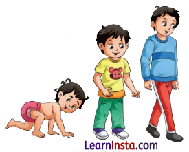 Living Creatures Exploring their Characteristics Class 6 Extra Questions and Answers Science Chapter 10 6