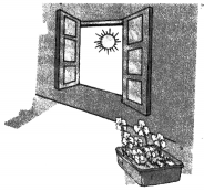 Living Creatures Exploring their Characteristics Class 6 Extra Questions and Answers Science Chapter 10 8