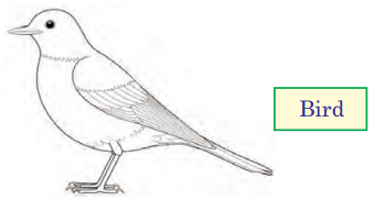 Living in Harmony Class 3 EVS Question Answer 4