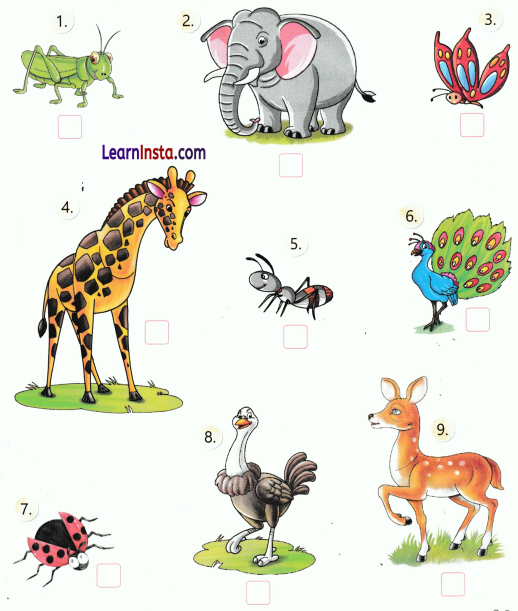 Living in Harmony Class 3 Worksheet EVS Chapter 6 1