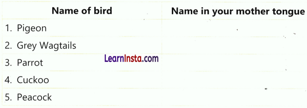 Living in Harmony Class 3 Worksheet EVS Chapter 6 2