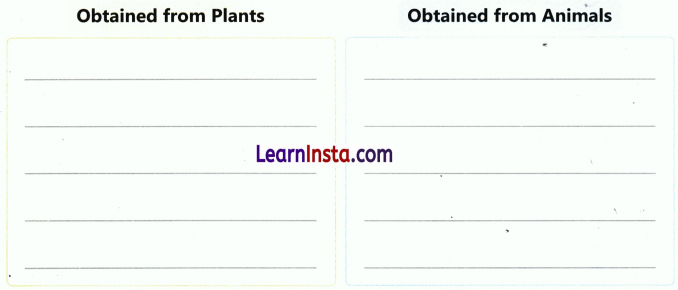 Living in Harmony Class 3 Worksheet EVS Chapter 6 7