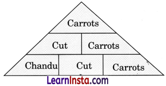 Madhu’s Wish Class 3 Question Answer NCERT Solutions Class 3 English Chapter 9 14