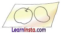 Madhu’s Wish Class 3 Question Answer NCERT Solutions Class 3 English Chapter 9 19