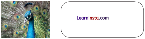 Making Things Class 3 EVS Question Answer 7