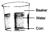 Materials Around Us Class 6 Extra Questions and Answers Science Chapter 6 1