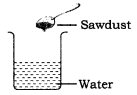 Materials Around Us Class 6 Extra Questions and Answers Science Chapter 6 6