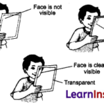 Materials Around Us Class 6 Notes Science Chapter 6 1