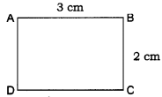 Measurement of Length and Motion Class 6 Extra Questions and Answers Science Chapter 5 1