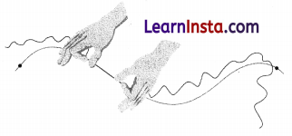 Measurement of Length and Motion Class 6 Notes Science Chapter 5 6
