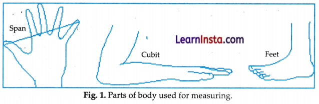 Measurement of Length and Motion Class 6 Notes Science Chapter 5.7