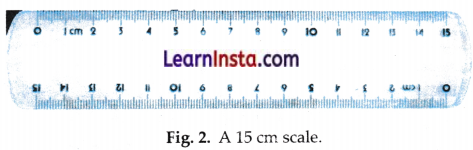 Measurement of Length and Motion Class 6 Notes Science Chapter 5.8