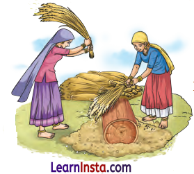 Methods of Separation in Everyday Life Class 6 Extra Questions and Answers Science Chapter 9 2
