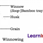 Methods of Separation in Everyday Life Class 6 Notes Science Chapter 9 1