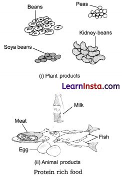 Mindful Eating A Path to a Healthy Body Class 6 Extra Questions and Answers Science Chapter 3 6