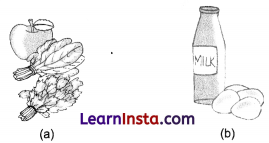 Mindful Eating A Path to a Healthy Body Class 6 Extra Questions and Answers Science Chapter 3 8