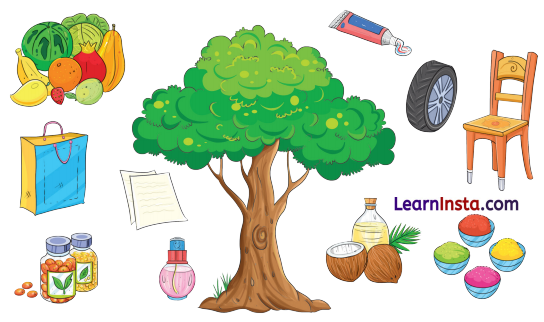 NCERT Class 3 Hindi Veena Chapter 13 Question Answer पेड़ों की अम्मा ‘थिमक्का’ 11