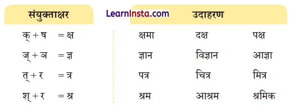 NCERT Class 3 Hindi Veena Chapter 13 Question Answer पेड़ों की अम्मा ‘थिमक्का’ 5