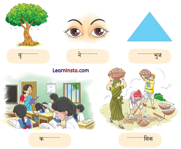 NCERT Class 3 Hindi Veena Chapter 13 Question Answer पेड़ों की अम्मा ‘थिमक्का’ 6