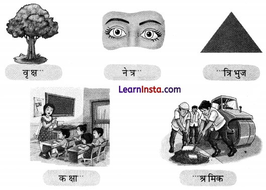 NCERT Class 3 Hindi Veena Chapter 13 Question Answer पेड़ों की अम्मा ‘थिमक्का’ 7