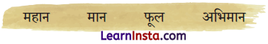NCERT Class 3 Hindi Veena Chapter 15 Question Answer भारत 3