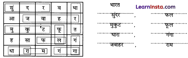 NCERT Class 3 Hindi Veena Chapter 15 Question Answer भारत 5