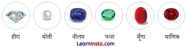 NCERT Class 3 Hindi Veena Chapter 15 Question Answer भारत 9