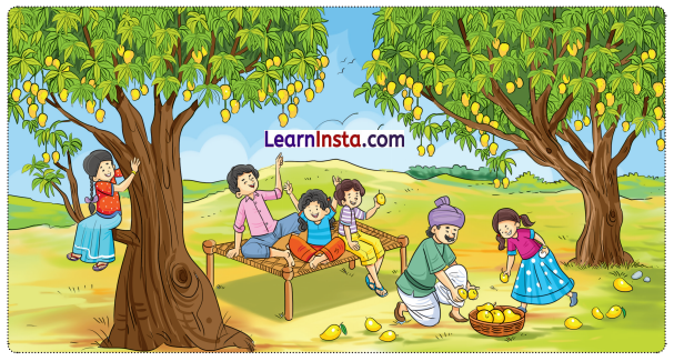 NCERT Class 3 Hindi Veena Chapter 5 Question Answer आम का पेड़ 1