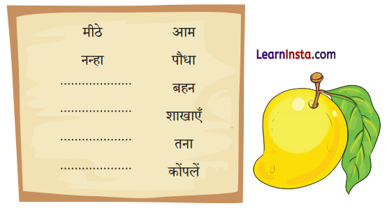 NCERT Class 3 Hindi Veena Chapter 5 Question Answer आम का पेड़ 13