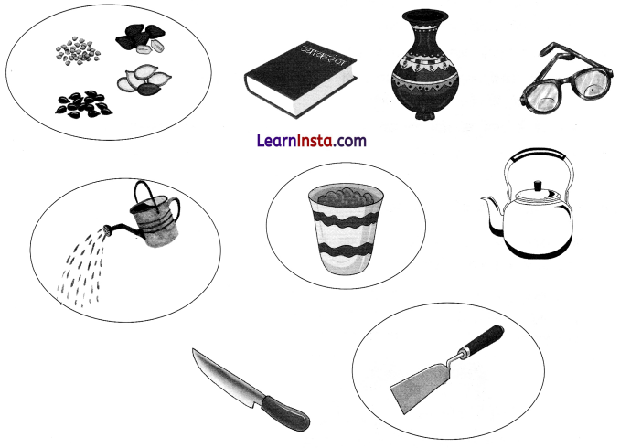 NCERT Class 3 Hindi Veena Chapter 5 Question Answer आम का पेड़ 5