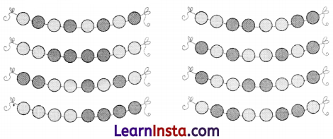 NCERT Class 3 Maths Mela Chapter 14 Question Answer The Surajkund Fair 4