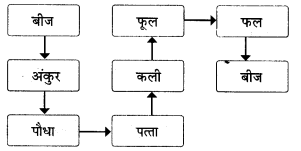 NCERT Class 6 Hindi Malhar Chapter 13 Question Answer पेड़ की बात 3